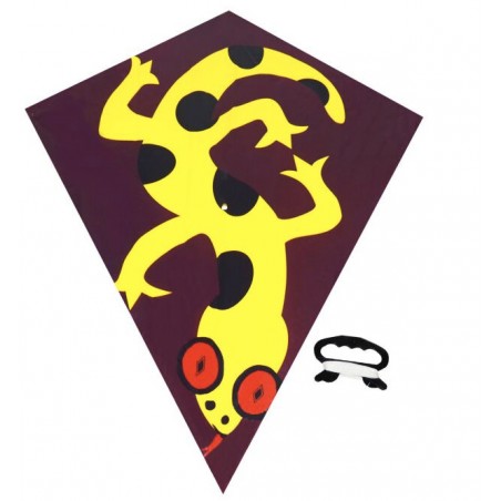 Drak létající 72 x 68 cm